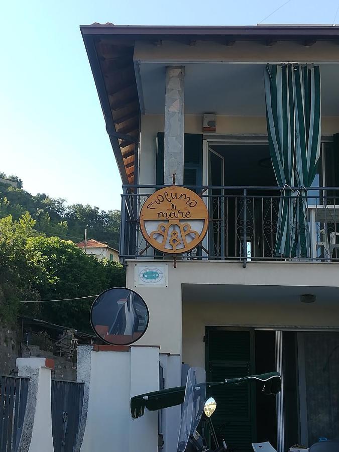 圣雷默Profumo Di Mare Free Private Parking Included住宿加早餐旅馆 外观 照片